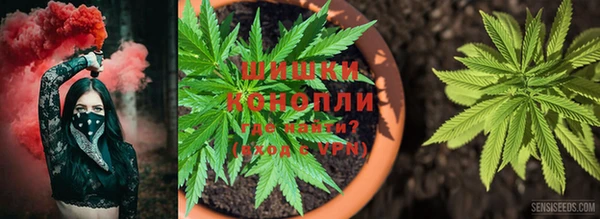 ПСИЛОЦИБИНОВЫЕ ГРИБЫ Пестово