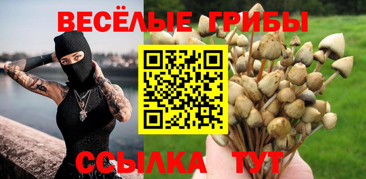 Урай  Псилоцибиновые грибы Psilocybe  Вход с VPN 