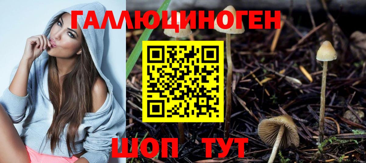 Псилоцибиновые грибы прущие грибы Урай